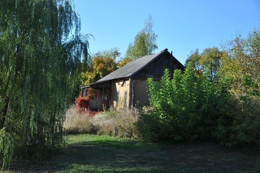 Photograph by Лариса Стрекулева