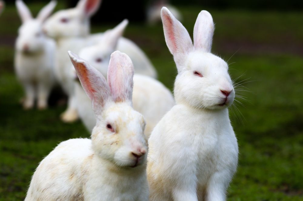 Photograph by Menula Dharmathilake