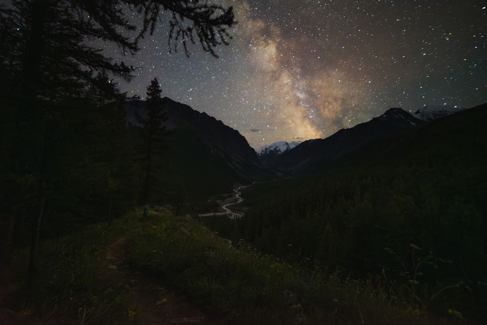 Photograph by Владимир Гущин