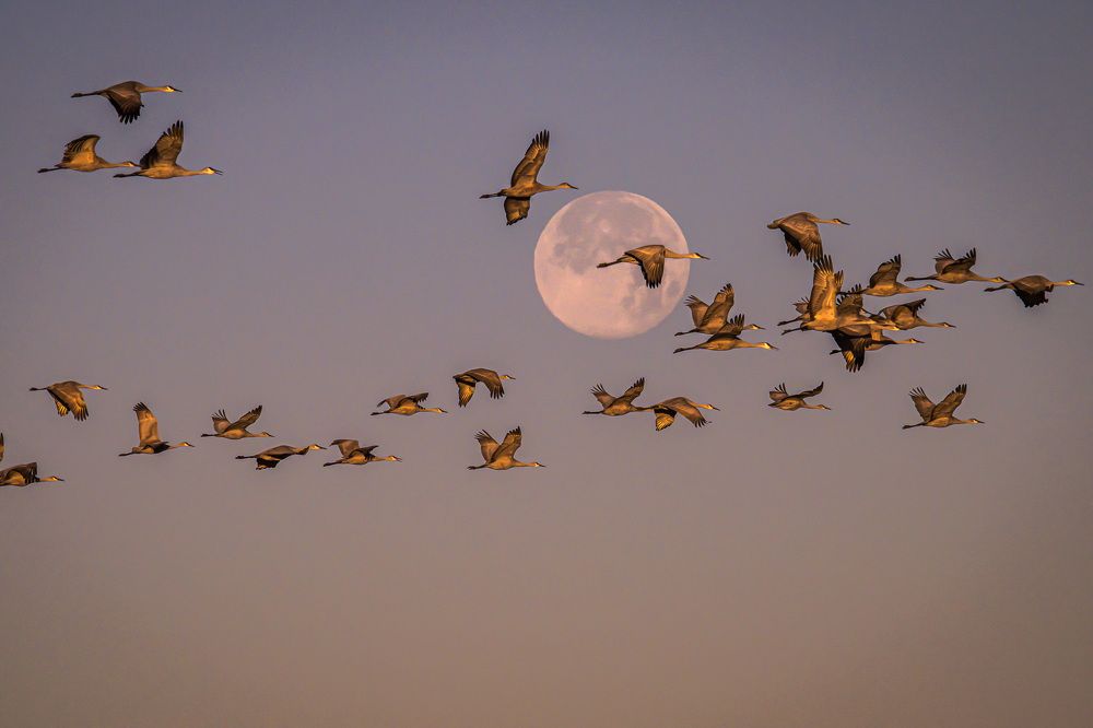 Photograph by Nedret Gürler