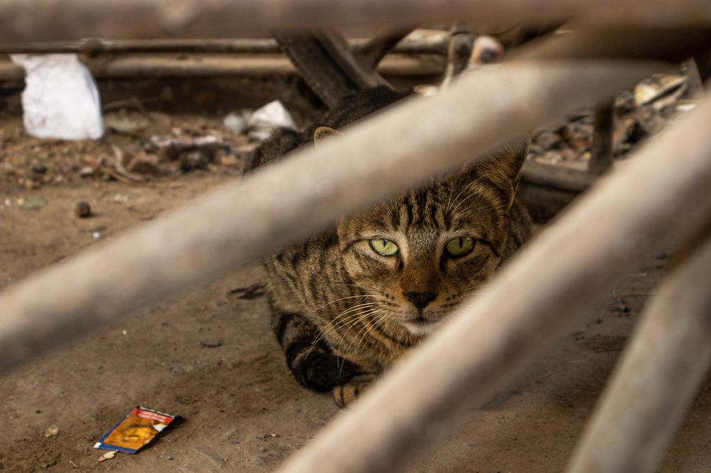 Photograph by RENU SHARMA