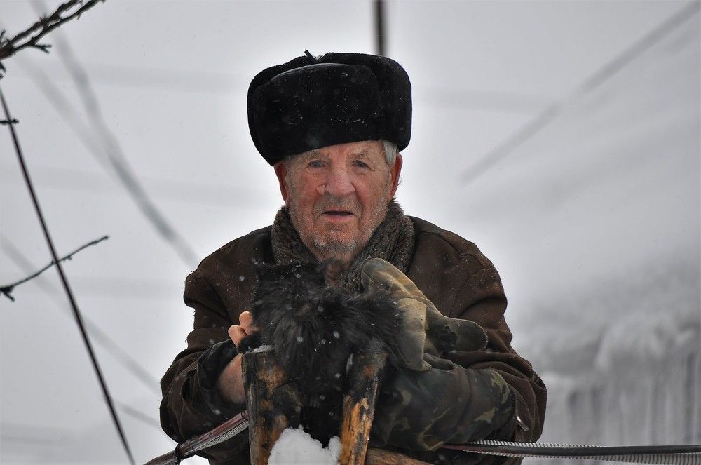 Photograph by Лариса Стрекулева