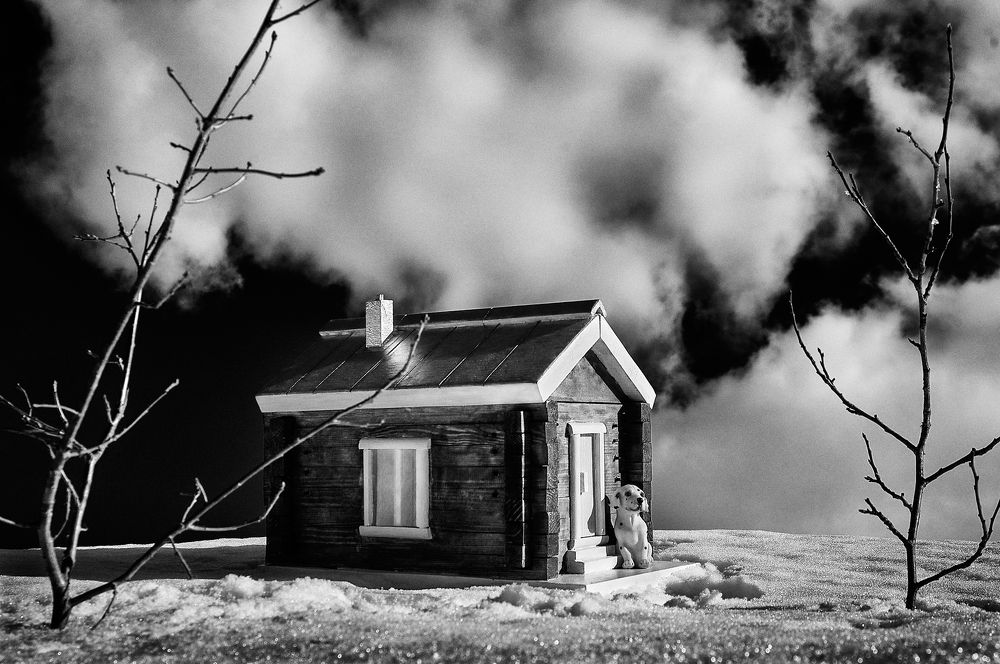 Фотография автора Сизов Кирилл