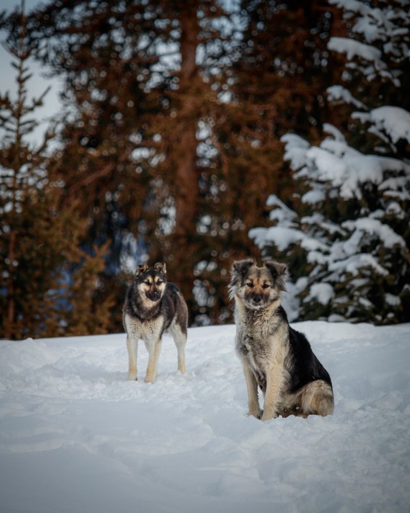 Photograph by Bogdan Karabak