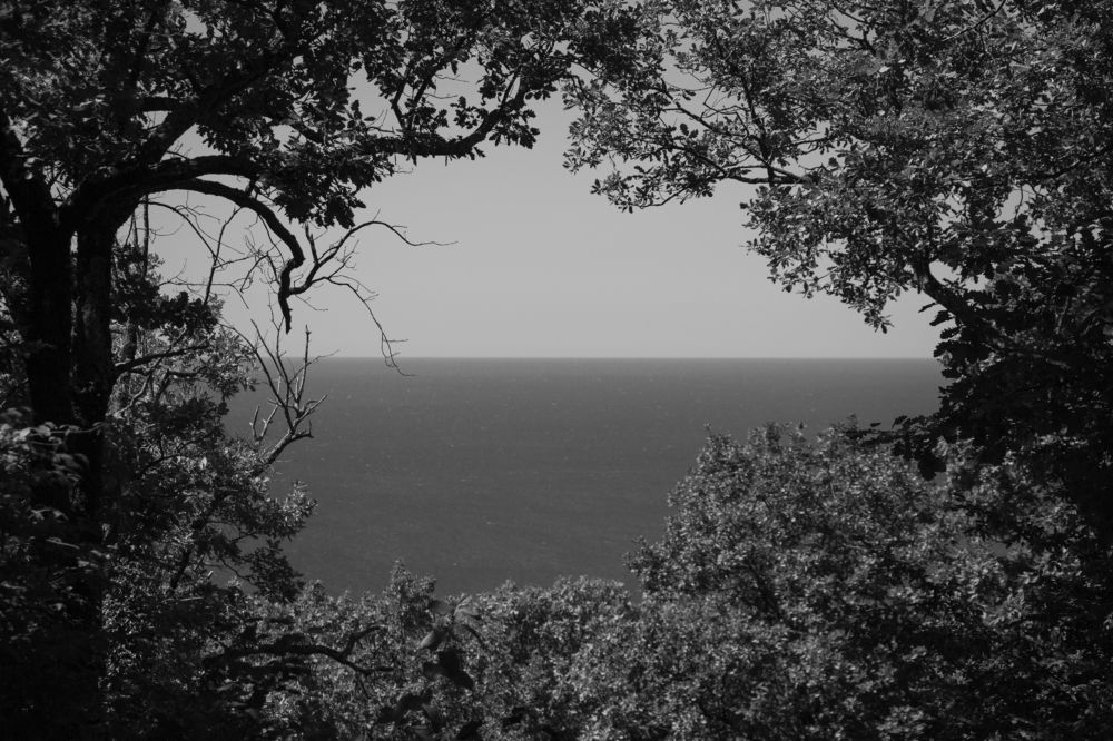 Photograph by Анжелика Сороколетова