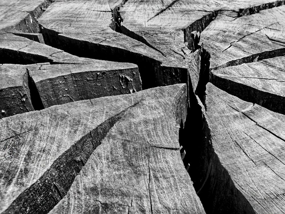 Сердцевина