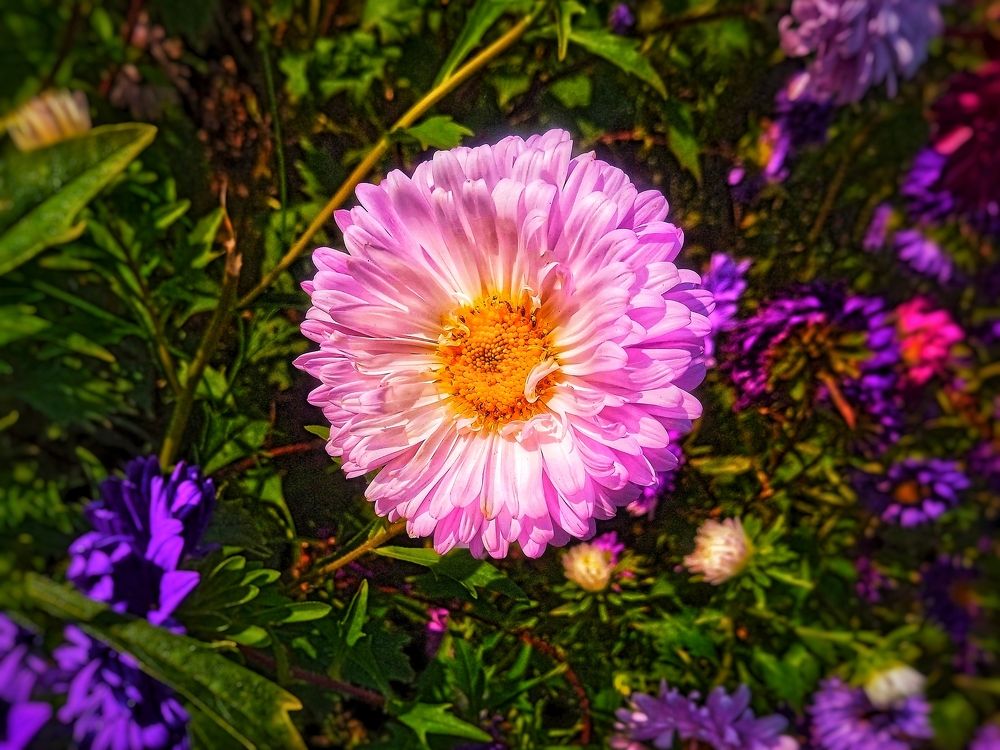 Photograph by Subha Ghosh