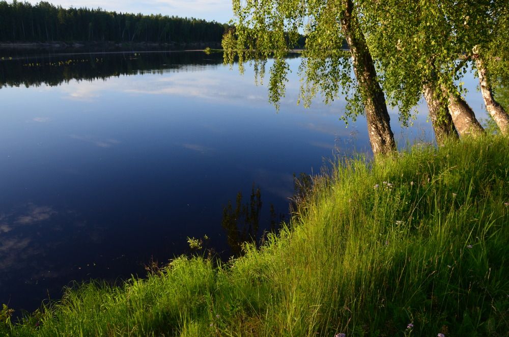 Photograph by Valentina