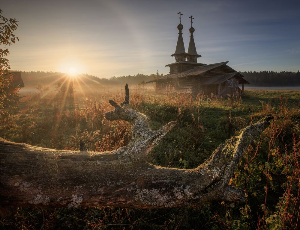 Photograph by Захарова Наталья