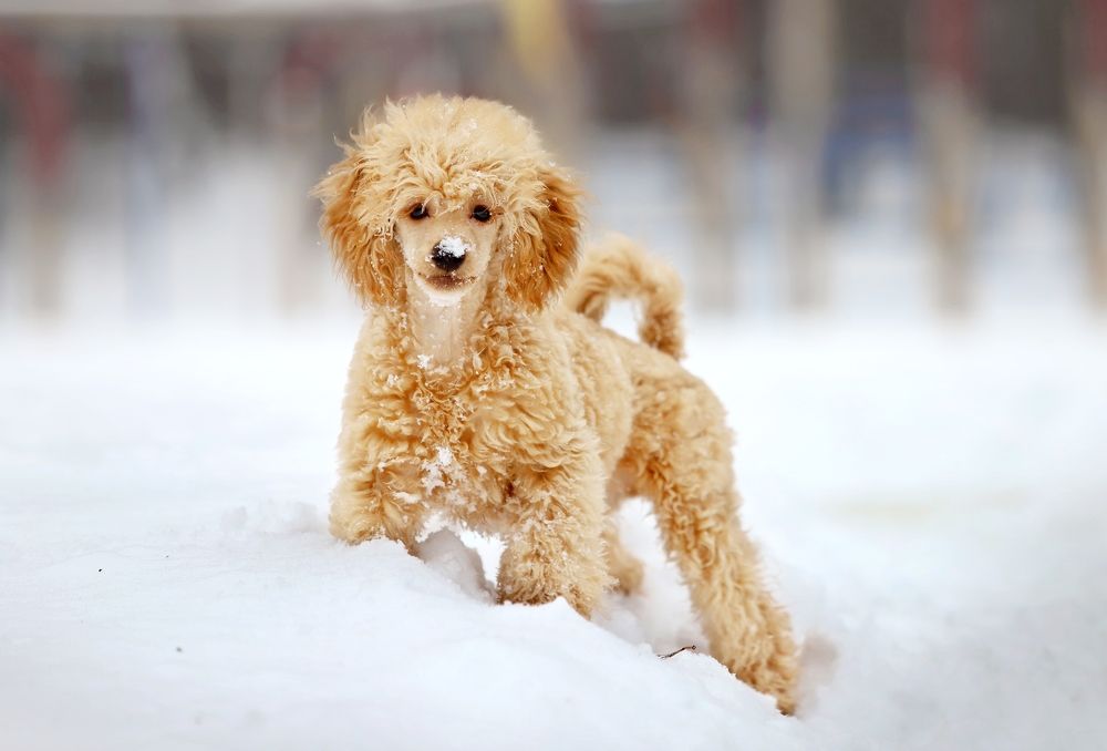 Photograph by Галина Щурова