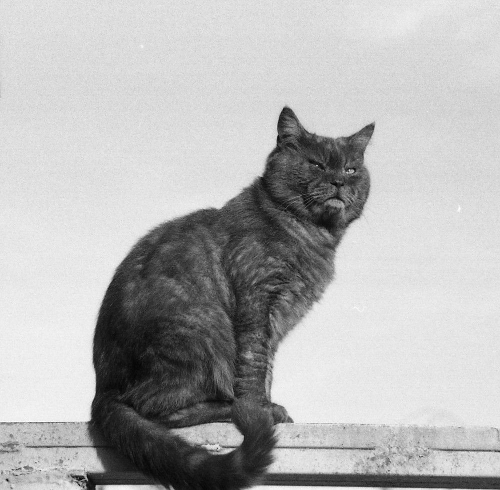 Photograph by Геннадий Балабонов