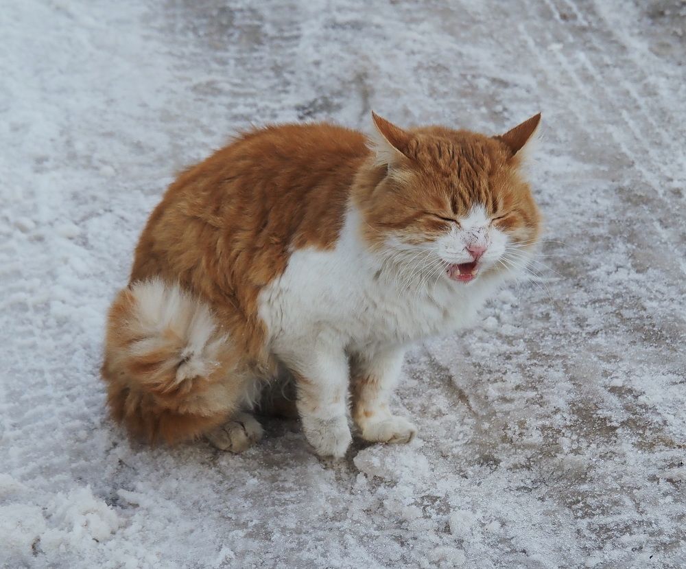 Photograph by Людмила