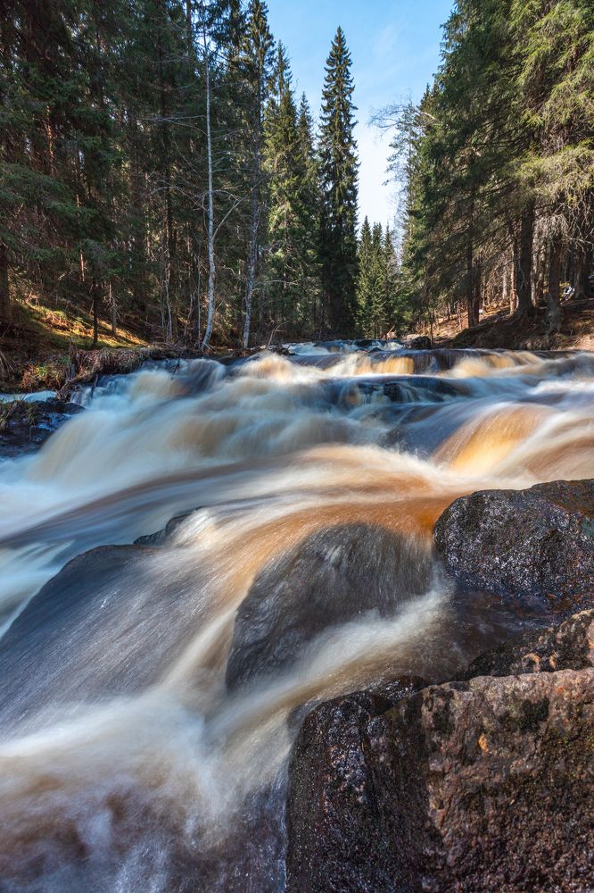Фотография автора Александр Колдин
