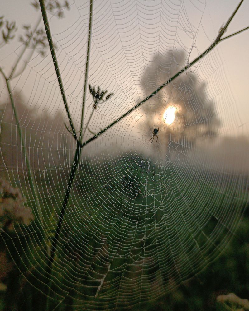 Photograph by Светлана Кондрашова