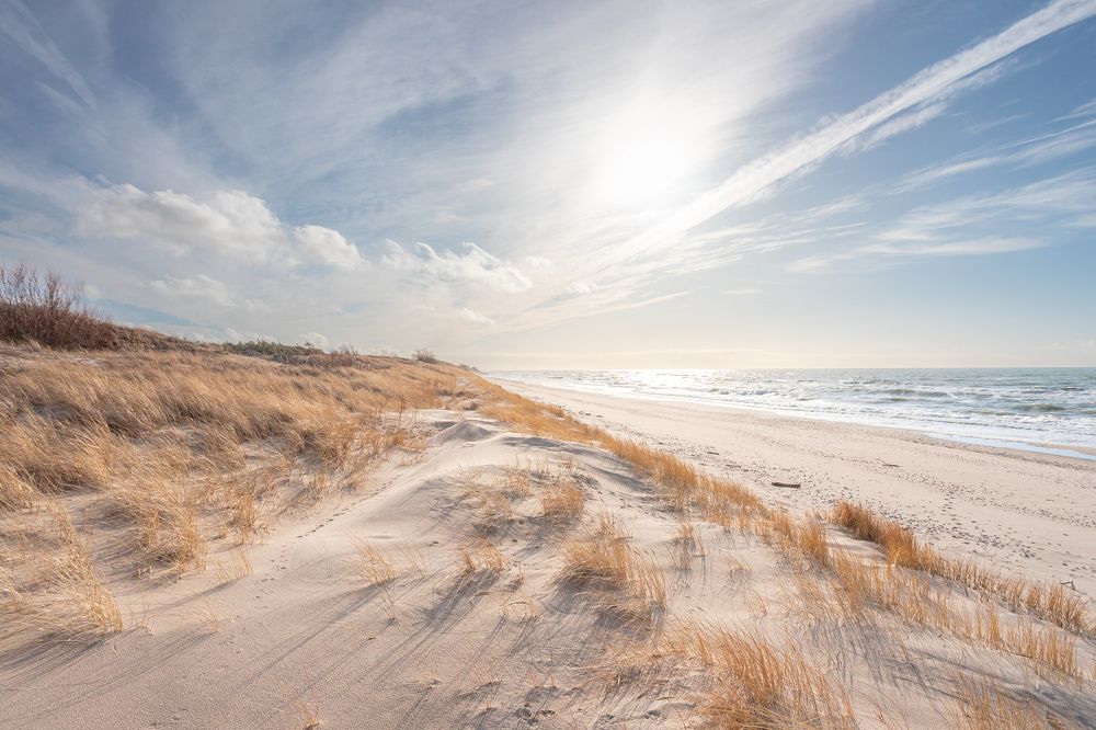 Фотография автора Александр Колдин