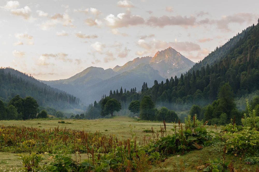 Фотография автора Мария Рохмистрова
