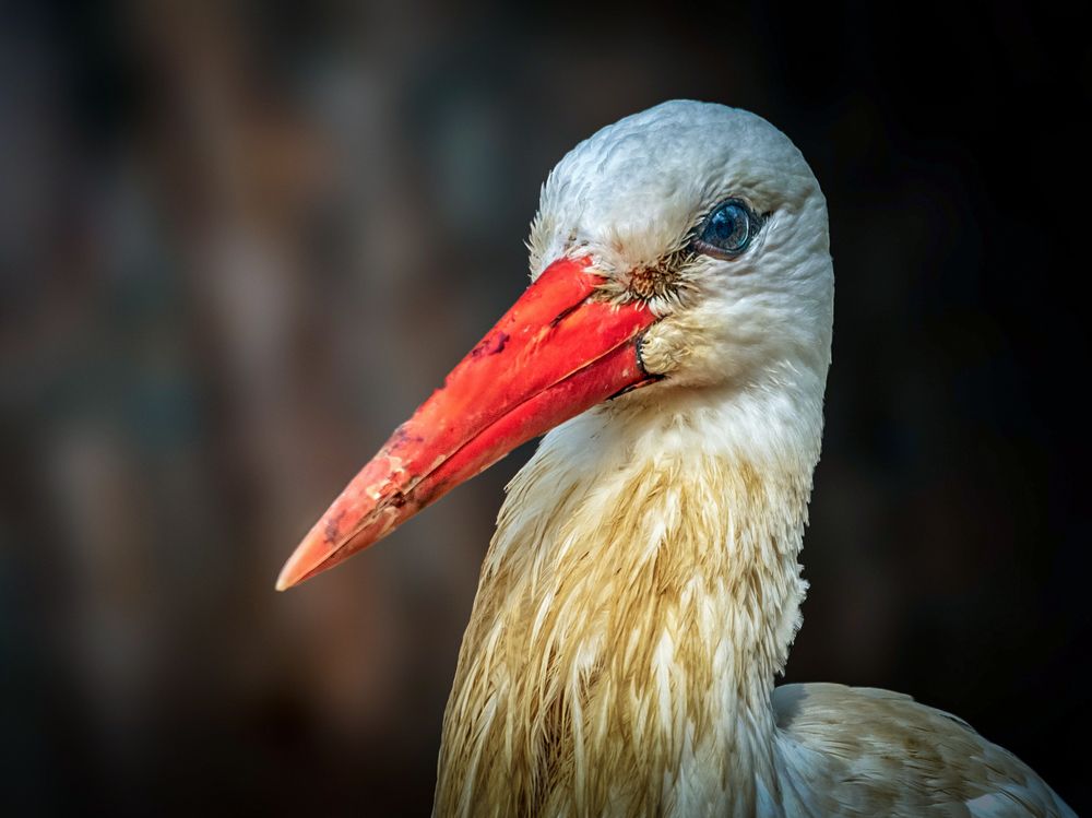 Photograph by Юрий Михайлович Головкин