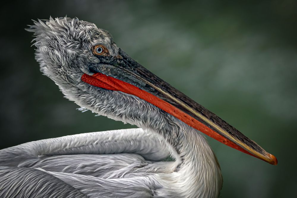 Photograph by Юрий Михайлович Головкин