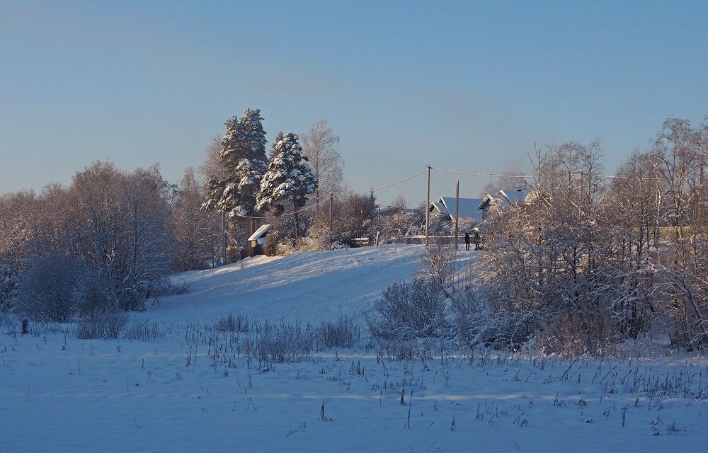 На берегу Оредежа