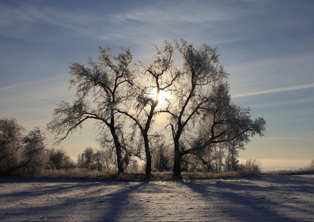 Photograph by Владилен Панченко