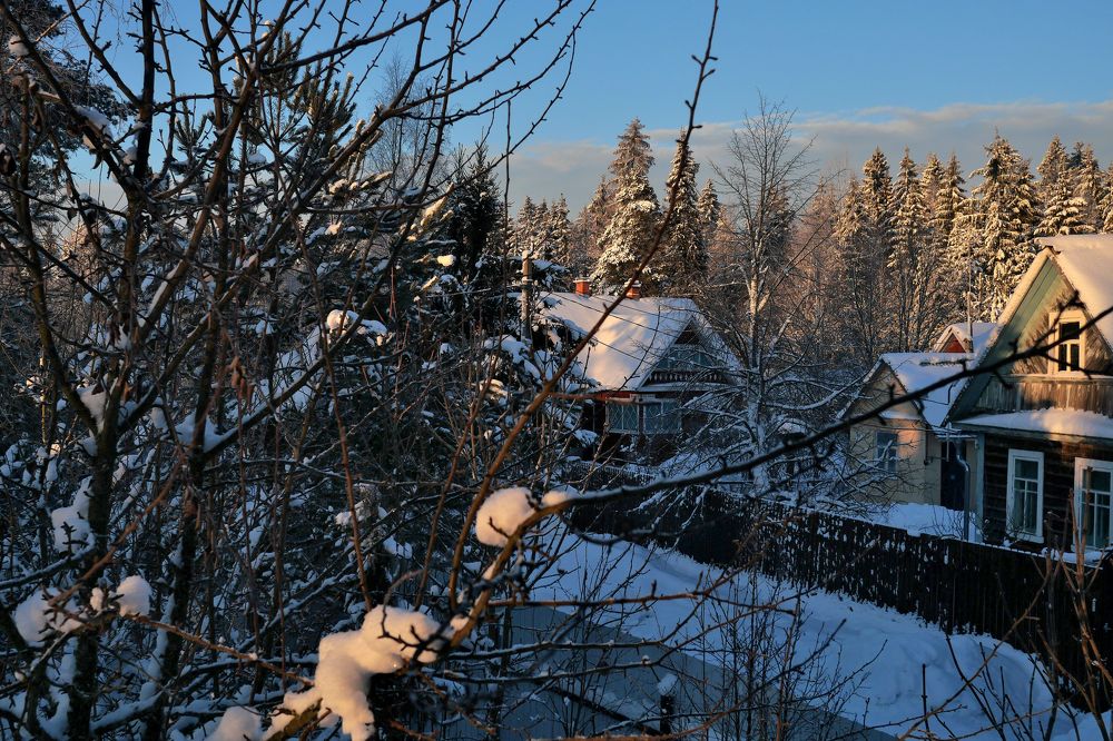 Photograph by Александр Пинаев