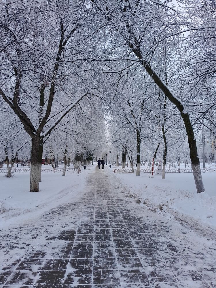 Первый снег