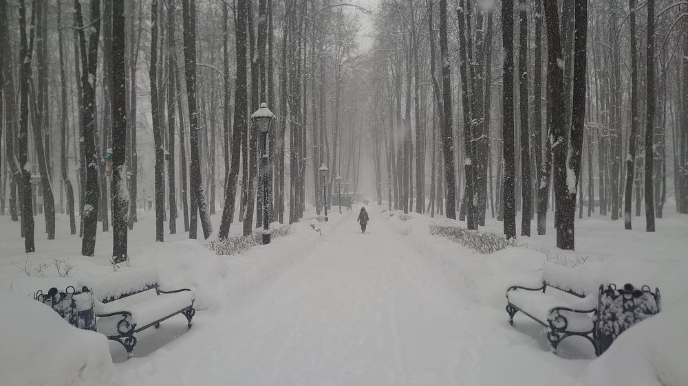 Photograph by Наталия Игоревна