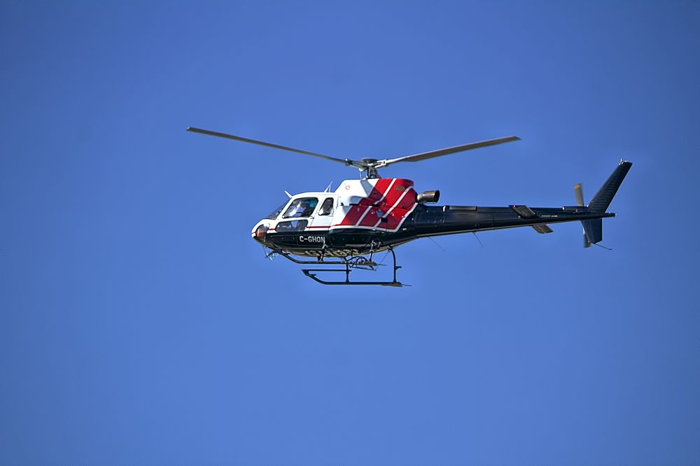 Photograph by A. G. Bisschop