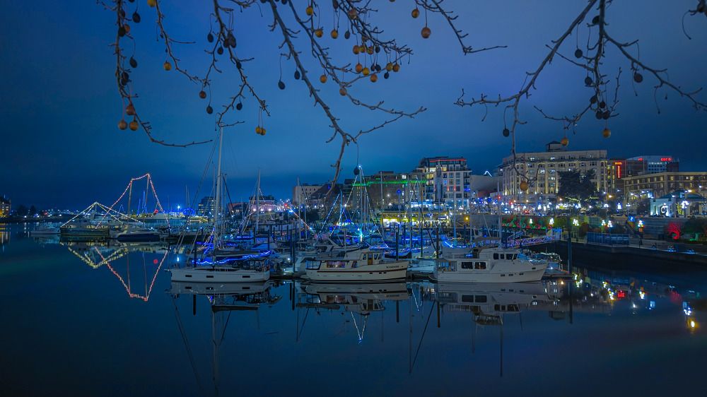 Photograph by cheki dorji