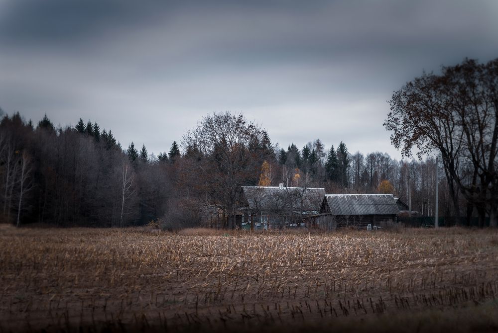 Фотография автора Александр Буренко