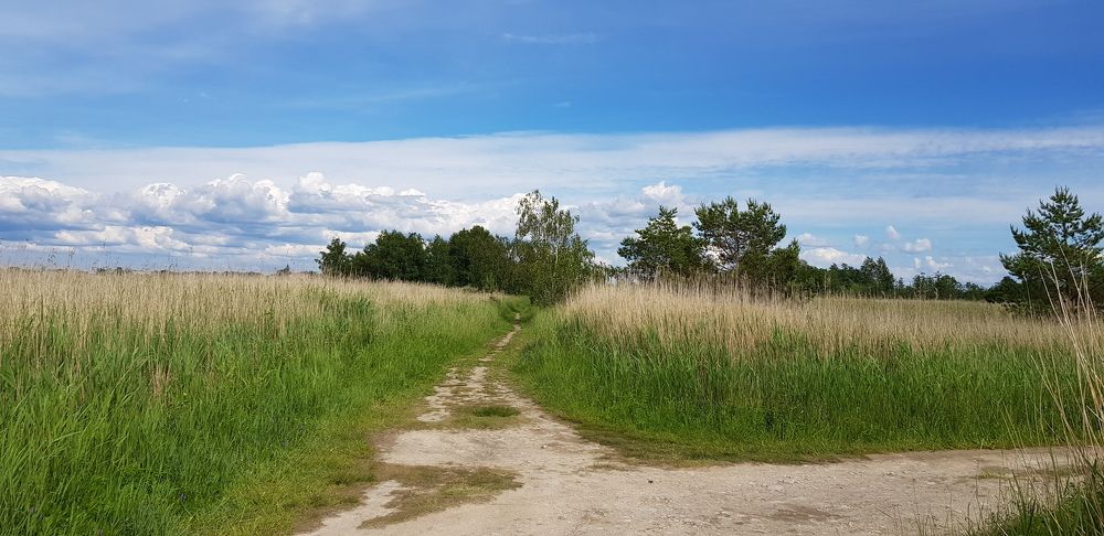 Photograph by Эдмунд Рандал