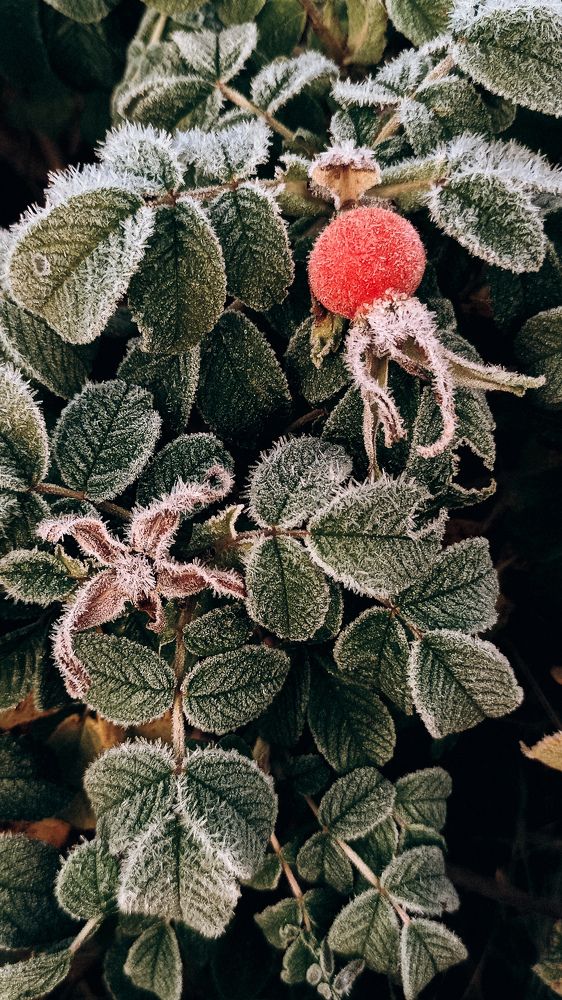 Photograph by Ольга Леонова