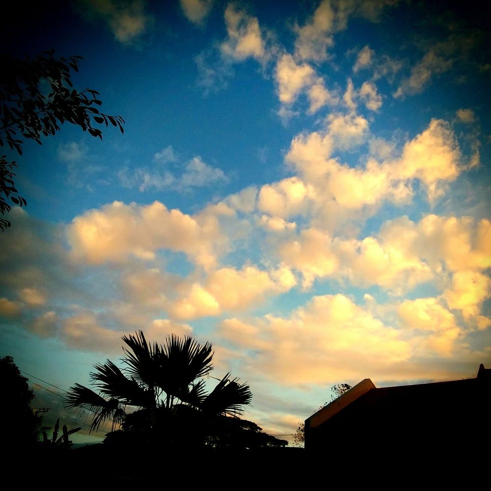 Photograph by deneb sebuado