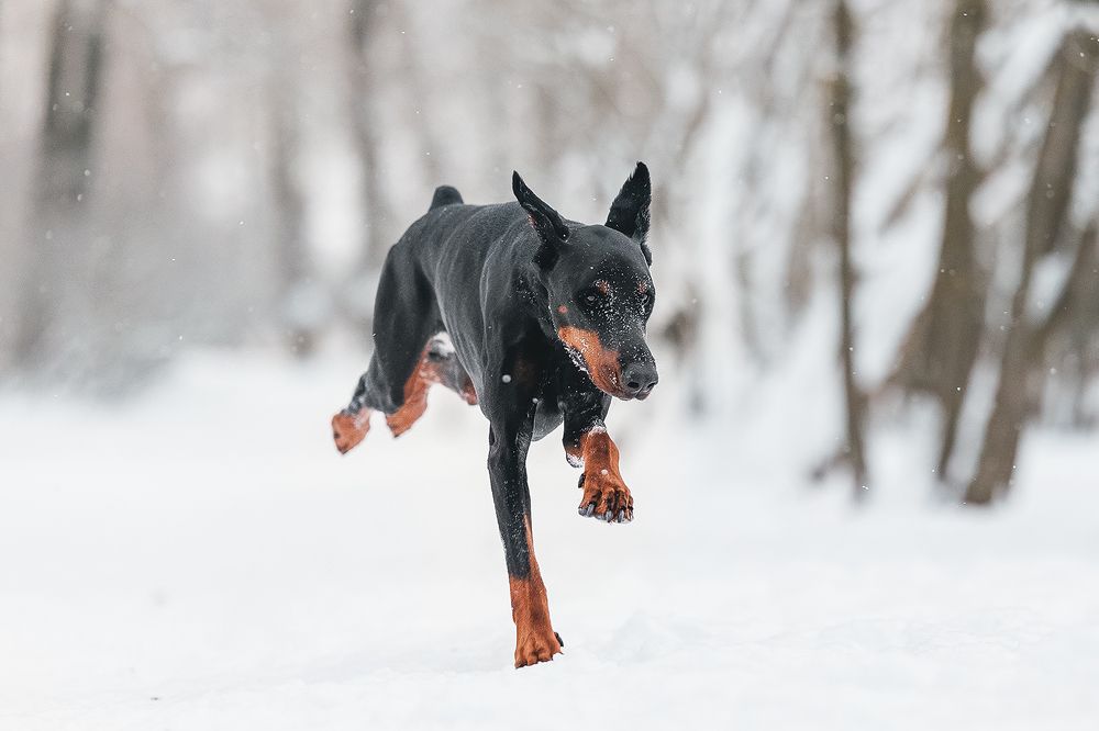 Photograph by Шитиков Владимир