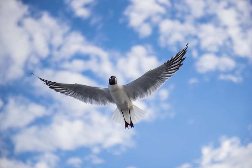 Photograph by Юрий Байковский