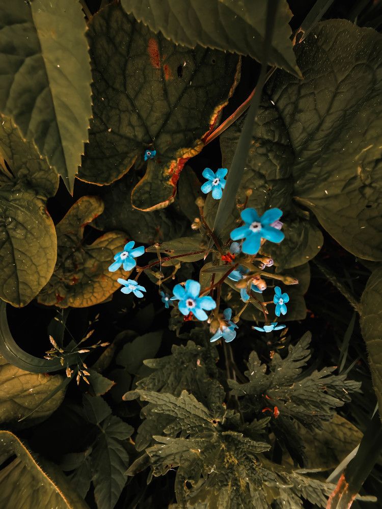 Photograph by Чупин Кузьма