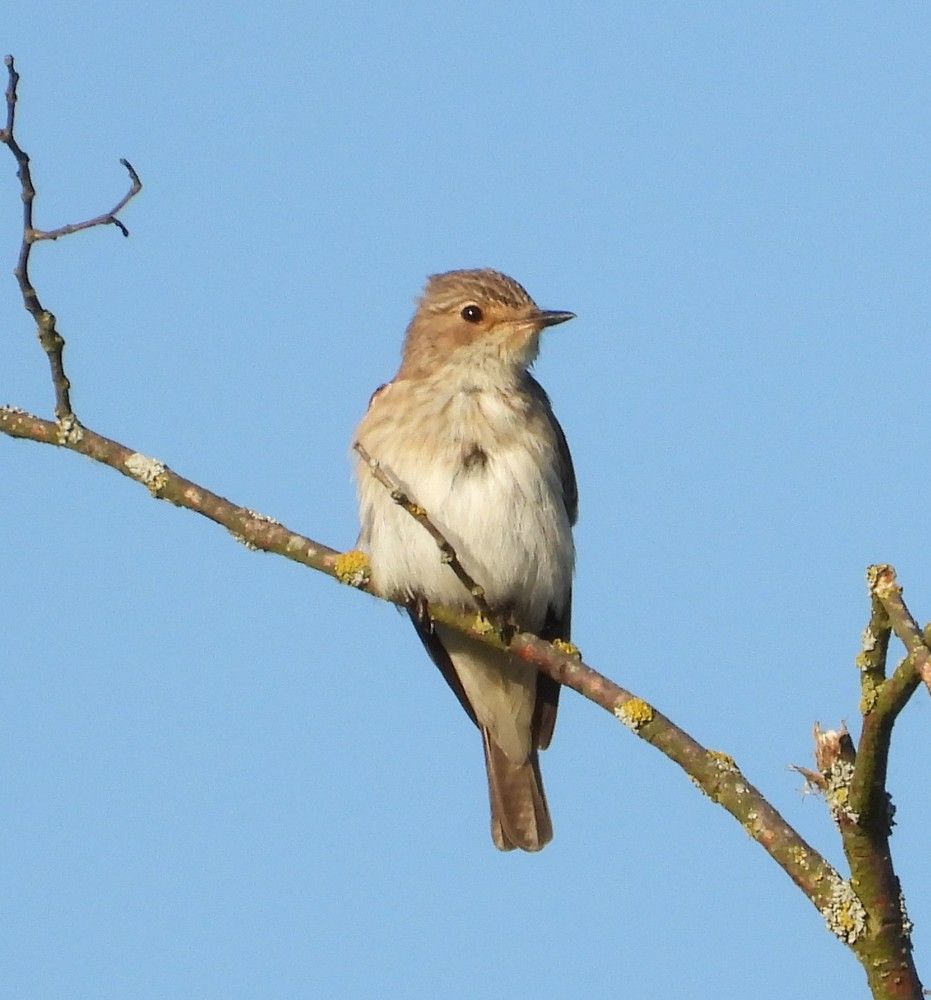 Photograph by Владимир Джерихов