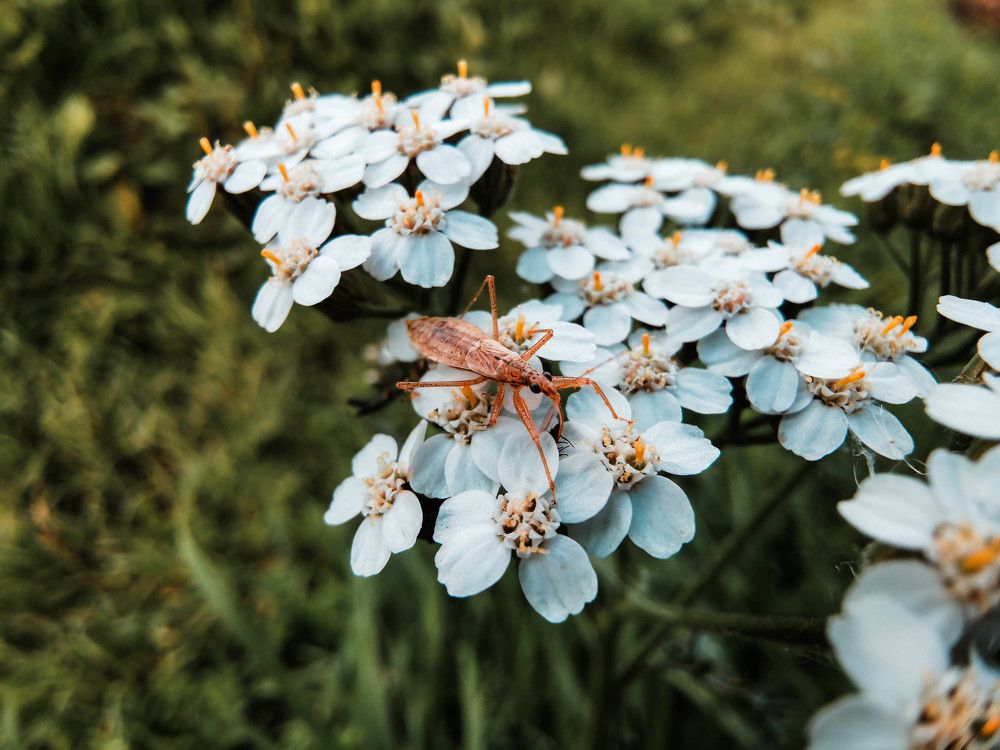 Photograph by Чупин Кузьма