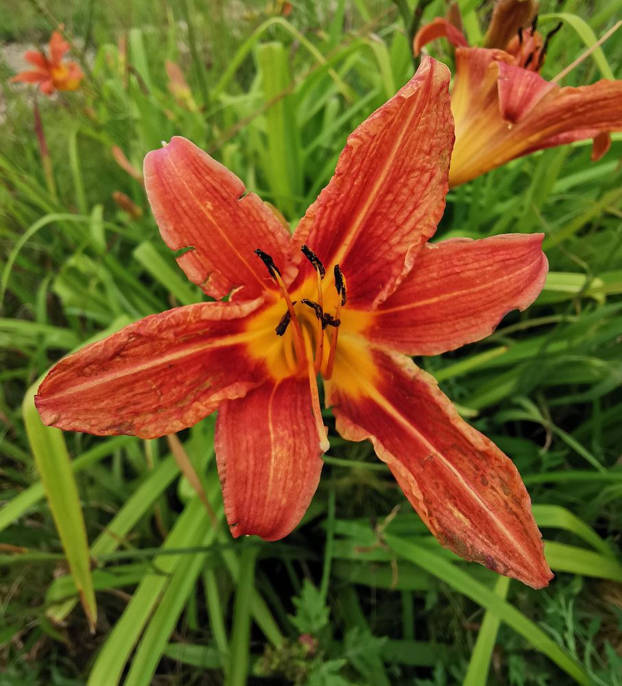 Photograph by Чупин Кузьма