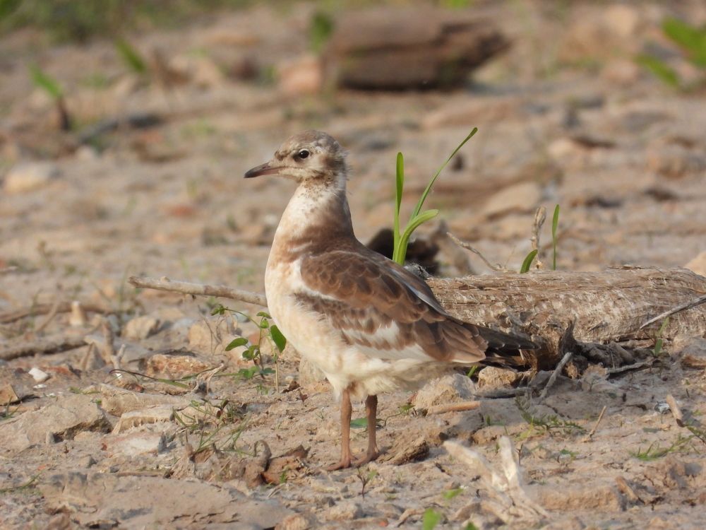 Photograph by Владимир Джерихов