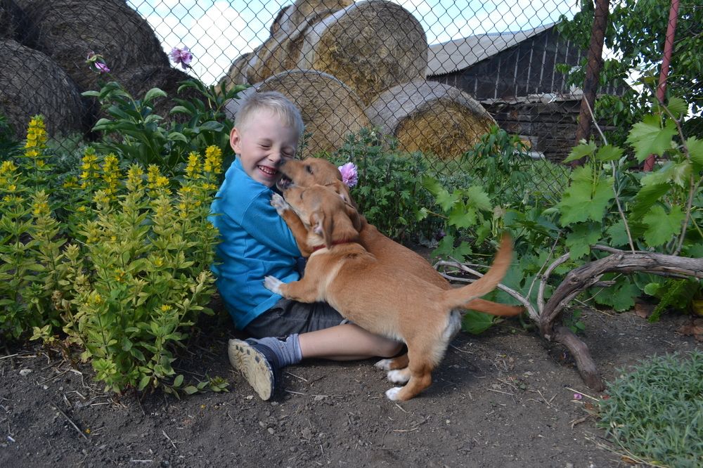 Счастливая встреча.