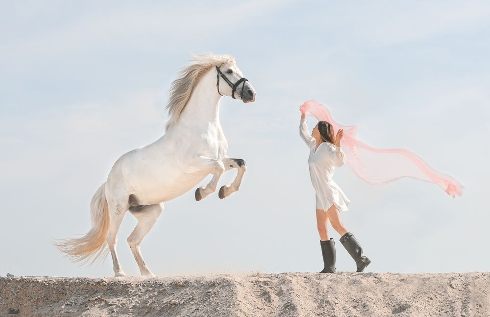 Лошадь и человек