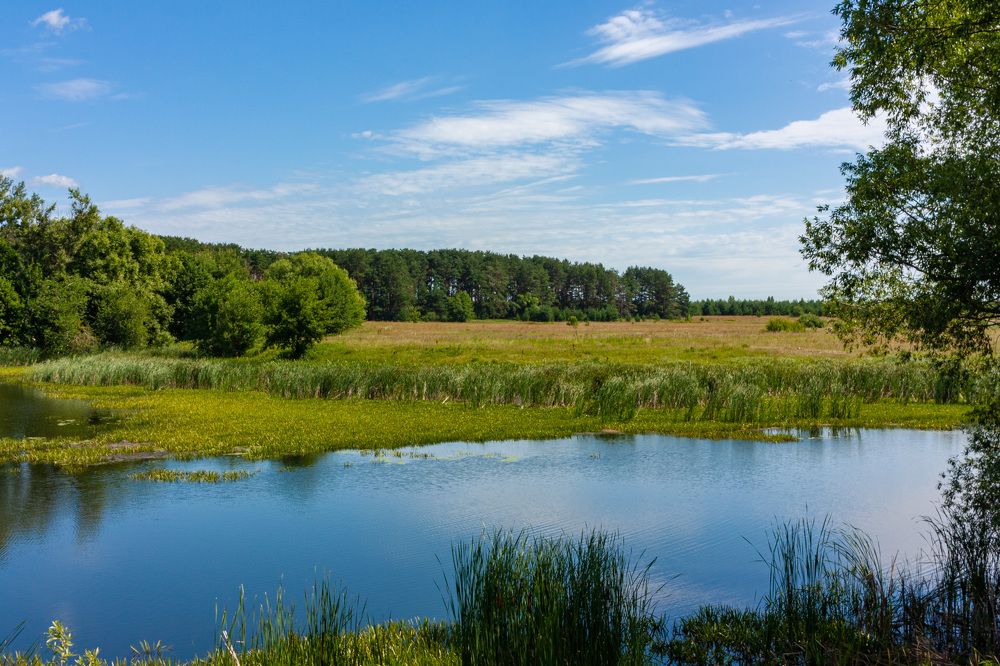Photograph by Сергей Щербаков