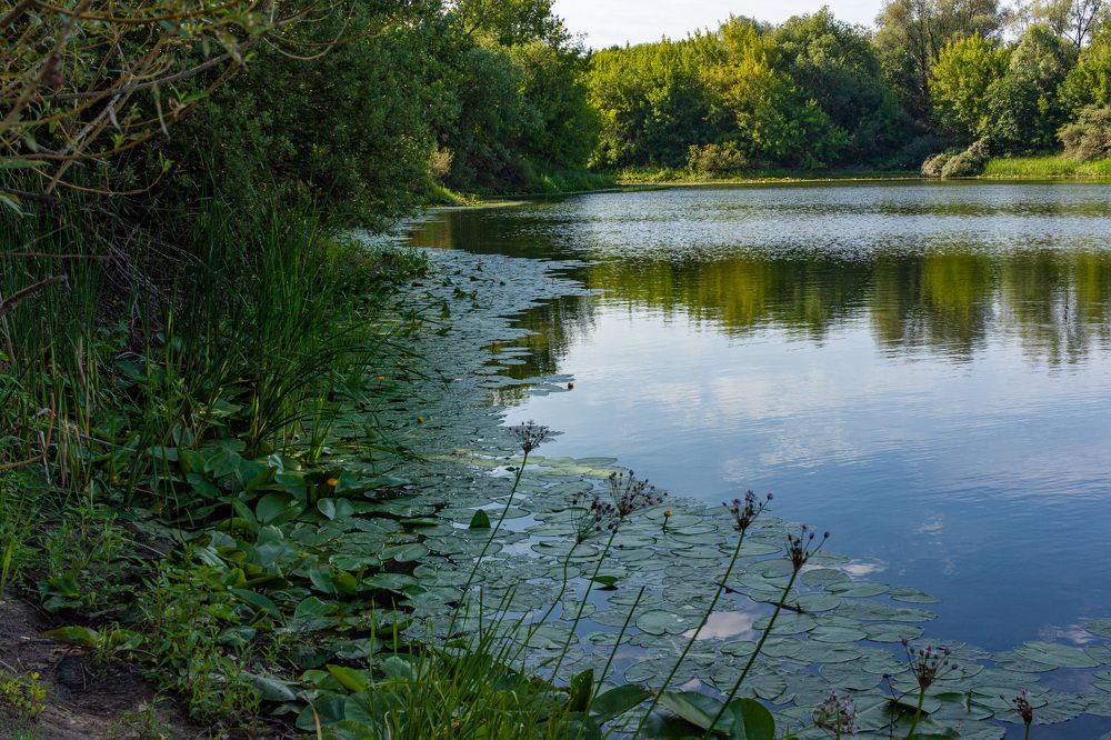 Photograph by Сергей Щербаков