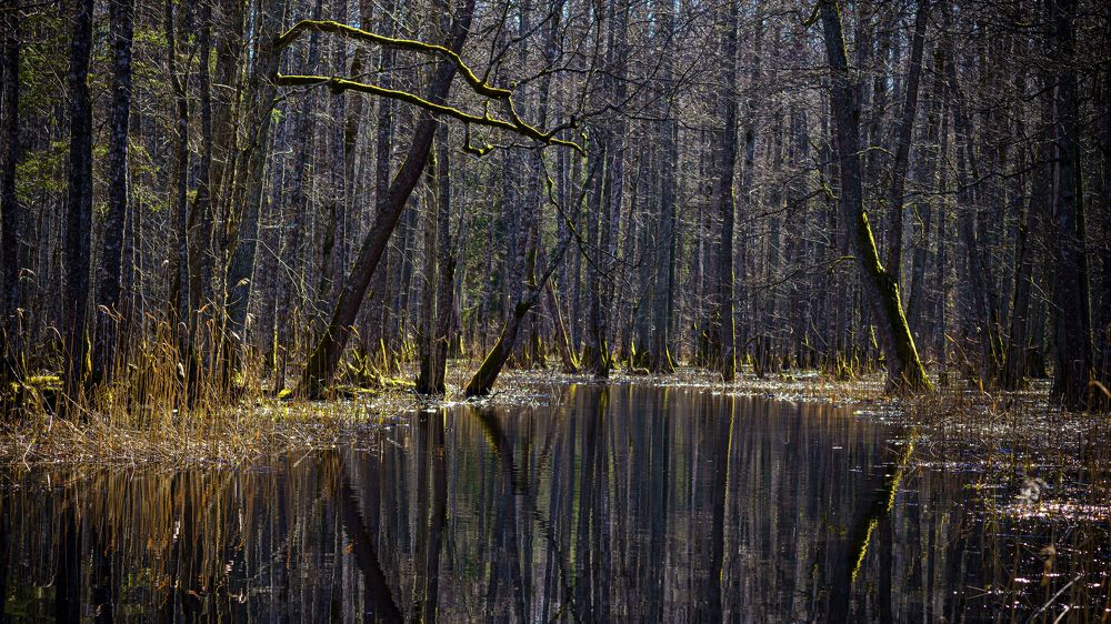 Photograph by Valdis Serzhans