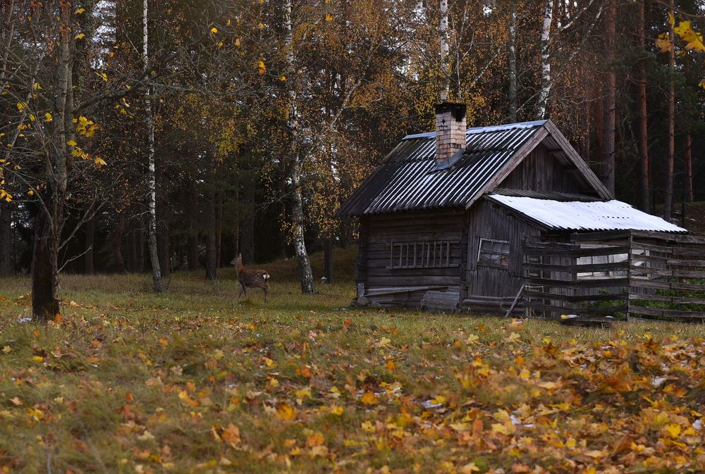 Photograph by Наталья Сергеева