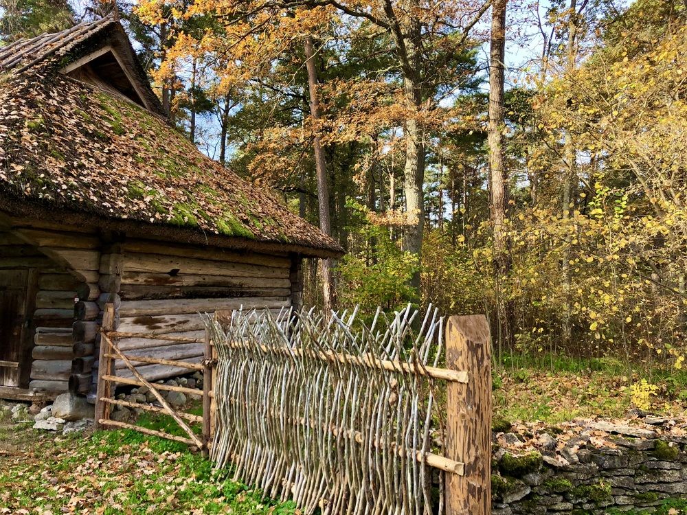 Photograph by Ирина