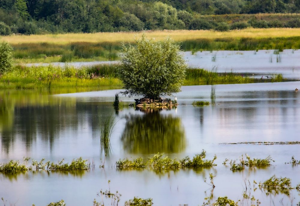 Photograph by Анна Чадова