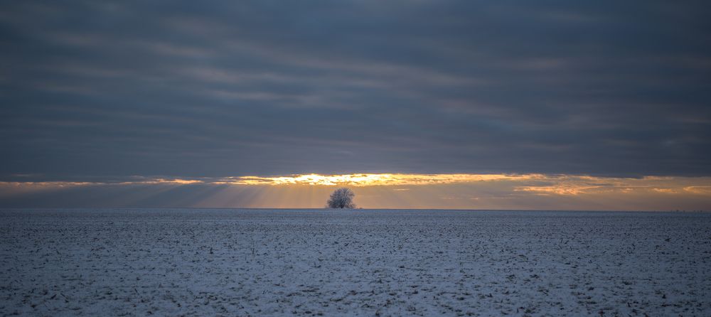 Фотография автора Konstantin Vladov