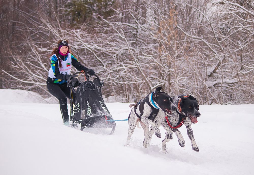 Photograph by Виктория Мамаева
